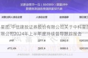 中科星图:中信建投证券股份有限公司关于中科星图股份有限公司2024年上半年度持续督导跟踪报告