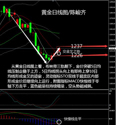 陈峻齐：5.17黄金行情走势分析及操作策略