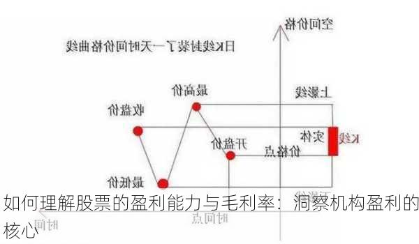 如何理解股票的盈利能力与毛利率：洞察机构盈利的核心