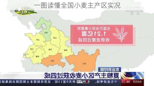 一图读懂全国小麦主产区实况