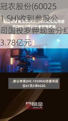 冠农股份(600251.SH)收到参股公司国投罗钾现金分红款3.78亿元