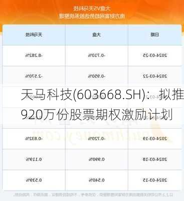 天马科技(603668.SH)：拟推920万份股票期权激励计划