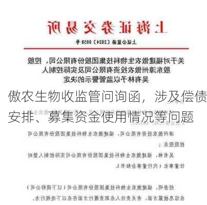 傲农生物收监管问询函，涉及偿债安排、募集资金使用情况等问题