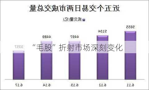 “毛股”折射市场深刻变化