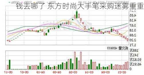 钱去哪了 东方时尚大手笔采购迷雾重重