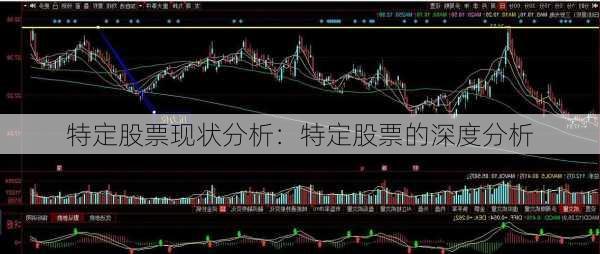 特定股票现状分析：特定股票的深度分析