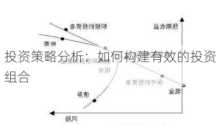 投资策略分析：如何构建有效的投资组合