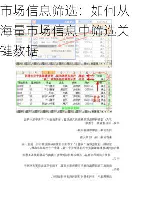 市场信息筛选：如何从海量市场信息中筛选关键数据