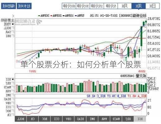 单个股票分析：如何分析单个股票