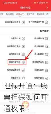 担保开通：股票担保如何开通权限