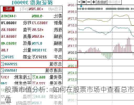 股票市值分析：如何在股票市场中查看总市值