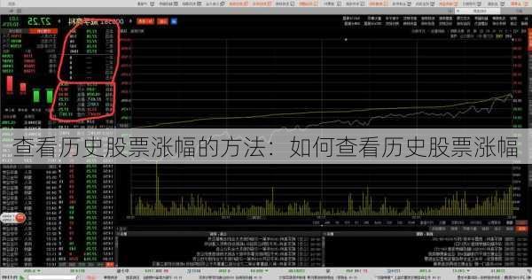 查看历史股票涨幅的方法：如何查看历史股票涨幅