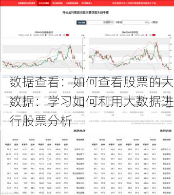 数据查看：如何查看股票的大数据：学习如何利用大数据进行股票分析