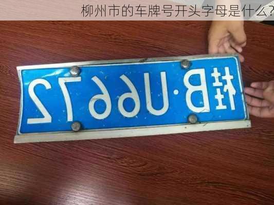 柳州市的车牌号开头字母是什么？