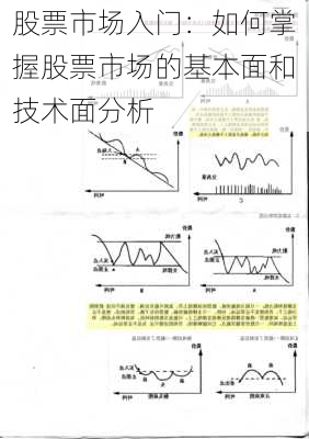 股票市场入门：如何掌握股票市场的基本面和技术面分析