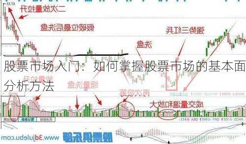 股票市场入门：如何掌握股票市场的基本面分析方法