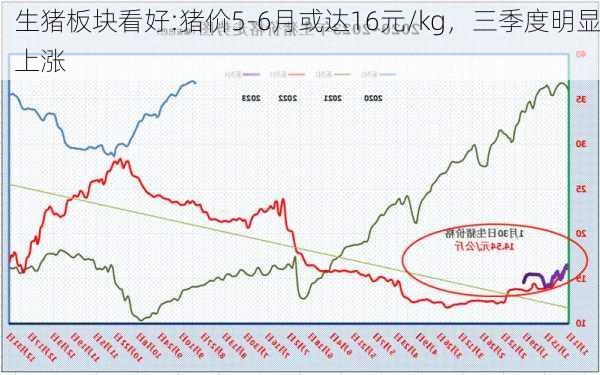 生猪板块看好:猪价5-6月或达16元/kg，三季度明显上涨