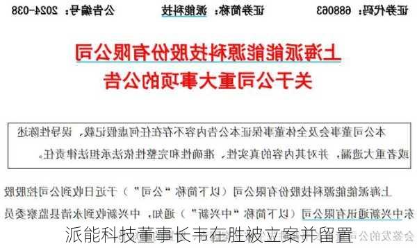 派能科技董事长韦在胜被立案并留置