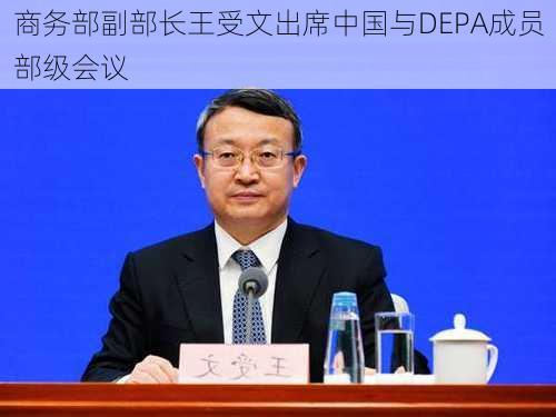 商务部副部长王受文出席中国与DEPA成员部级会议