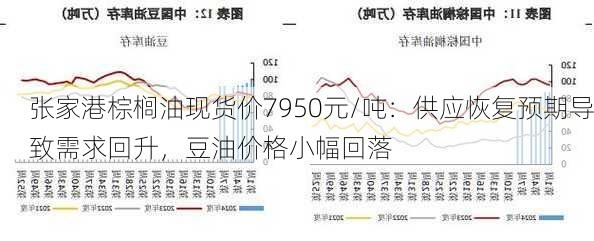 张家港棕榈油现货价7950元/吨：供应恢复预期导致需求回升，豆油价格小幅回落