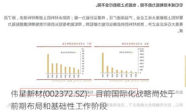 伟星新材(002372.SZ)：目前国际化战略尚处于前期布局和基础性工作阶段