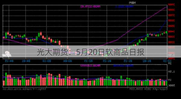 光大期货：5月20日软商品日报