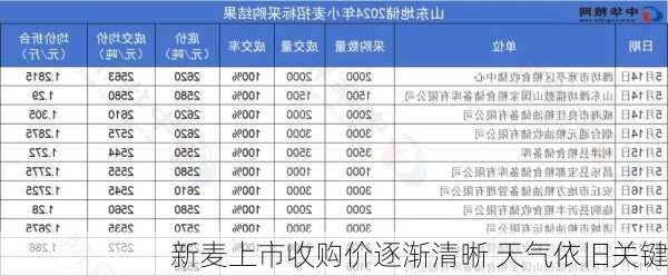 新麦上市收购价逐渐清晰 天气依旧关键