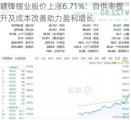 赣锋锂业股价上涨6.71%：自供率提升及成本改善助力盈利增长