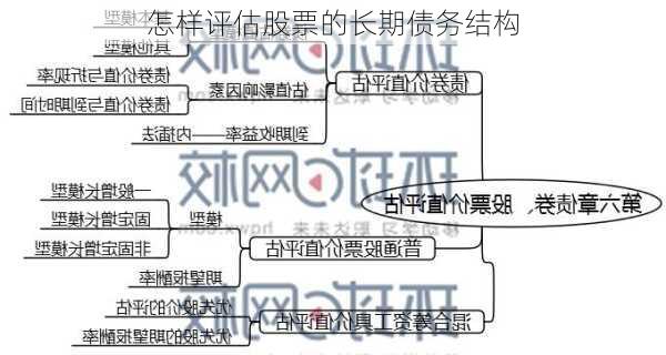 怎样评估股票的长期债务结构