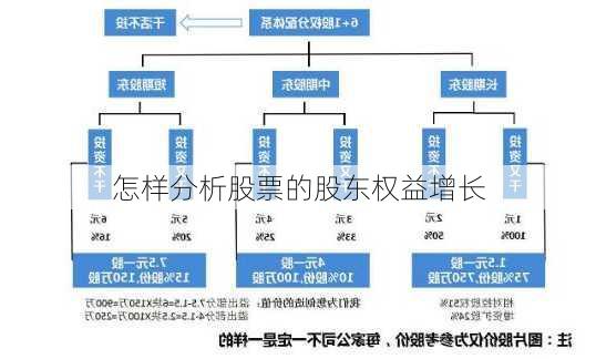 怎样分析股票的股东权益增长