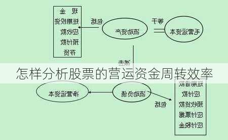 怎样分析股票的营运资金周转效率