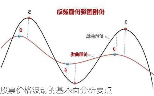 股票价格波动的基本面分析要点