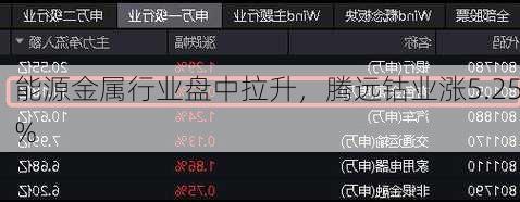 能源金属行业盘中拉升，腾远钴业涨5.25%