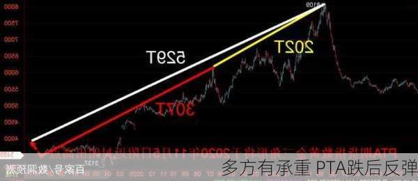 多方有承重 PTA跌后反弹