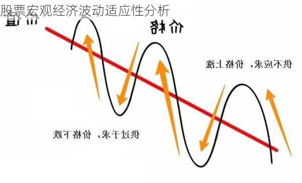 股票宏观经济波动适应性分析