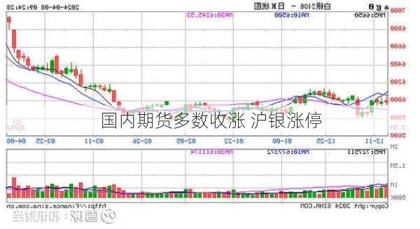 国内期货多数收涨 沪银涨停