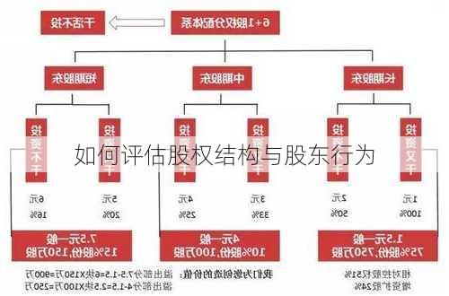 如何评估股权结构与股东行为