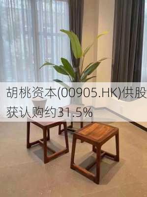 胡桃资本(00905.HK)供股获认购约31.5%