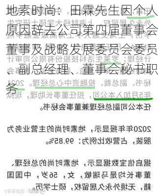 地素时尚：田霖先生因个人原因辞去公司第四届董事会董事及战略发展委员会委员、副总经理、董事会秘书职务