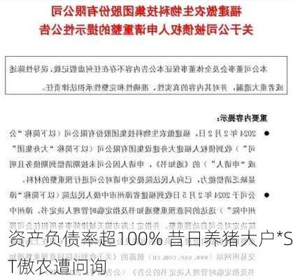 资产负债率超100% 昔日养猪大户*ST傲农遭问询