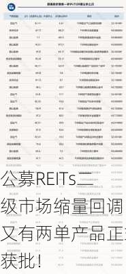 公募REITs二级市场缩量回调，又有两单产品正式获批！