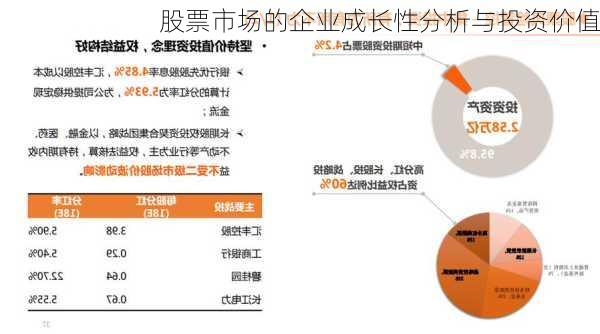 股票市场的企业成长性分析与投资价值