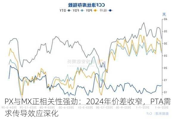 PX与MX正相关性强劲：2024年价差收窄，PTA需求传导效应深化