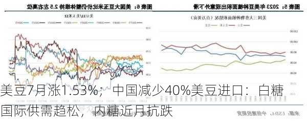 美豆7月涨1.53%；中国减少40%美豆进口：白糖国际供需趋松，内糖近月抗跌