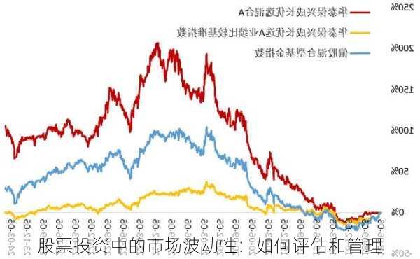 股票投资中的市场波动性：如何评估和管理