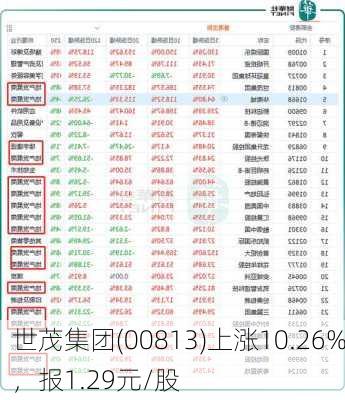 世茂集团(00813)上涨10.26%，报1.29元/股