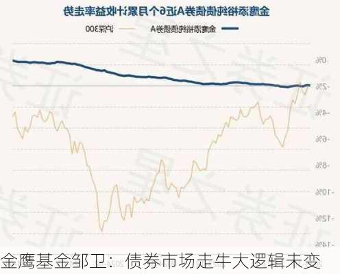 金鹰基金邹卫：债券市场走牛大逻辑未变