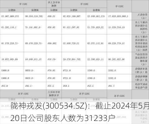 陇神戎发(300534.SZ)：截止2024年5月20日公司股东人数为31233户