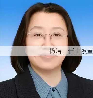 杨洁，任上被查