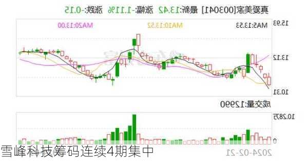 雪峰科技筹码连续4期集中